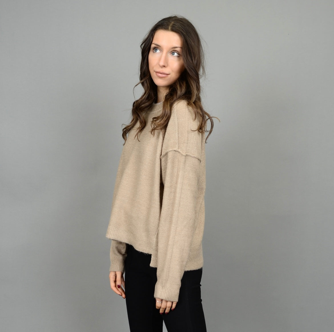 RD Style Sanjana Crewneck - Dune