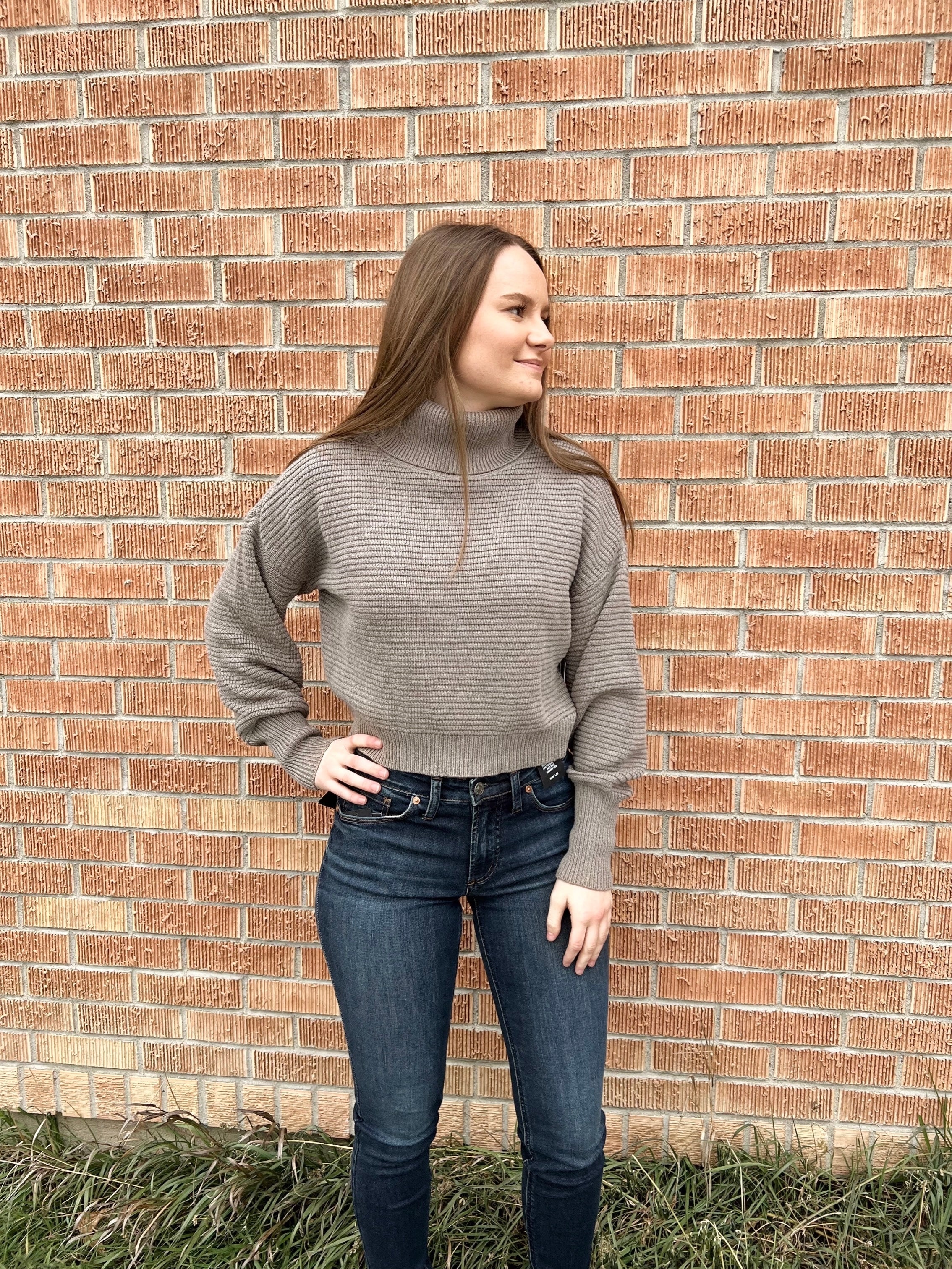 RD Style Noelle Turtleneck - Shitake