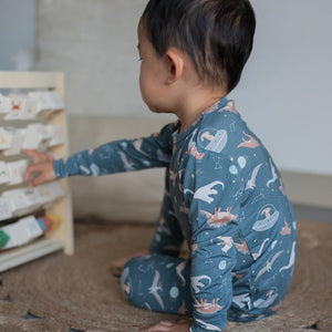 Roobear Space Dinos Two-Piece Pajamas